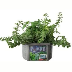Unique Gardener: Culinary Herb Kit - Grow 5 Herbs In A DIY Biosphere Terrarium