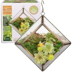 D'Eco Glass Mini Diamond Plant Terrarium (5 X 5 X 3.5") - Indoor Tabletop Copper Geometric Planter Holiday Decor - Christmas Gift For Plant Lovers -OUTSUNNY Sale Store GUEST 897e7972 5ff8 4cc8 88d4 e338934378b6