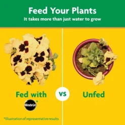 Miracle-Gro Water Soluble All Purpose Plant Food 1.5lb: Nutrient-Rich Formula For Healthy Growth, Fast Release -OUTSUNNY Sale Store GUEST 8a7c5991 89a9 4f07 a682 3f0f344cf603