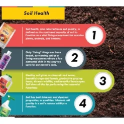 True Organic Granular Azalea, Camellia & Rhododendron 5-4-3 Plant Food -OUTSUNNY Sale Store GUEST 8a9b7a99 bae5 401c ba36 421356df63dd