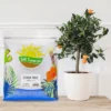 Soil Sunrise Citrus Tree Potting Soil Mix, For Indoor Oranges, Lemons, Limes And More