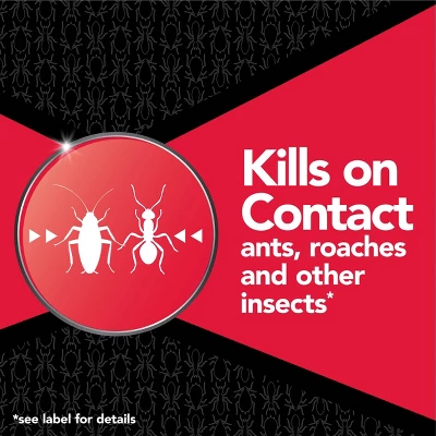 Raid Max Ant And Roach Killer Bug Spray - 14.5oz 1 Raid Max Ant And Roach Killer Bug Spray - 14.5oz