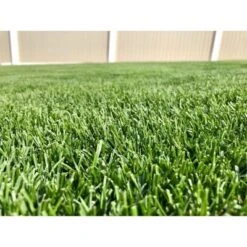 Barenbrug Turf Blue Healthy Grass Technology Lawn Seed Blend With Yellow Jacket Seed Coating, 10lb -OUTSUNNY Sale Store GUEST 92edbf78 d9e3 47d7 b1e4 d1628bd2b477