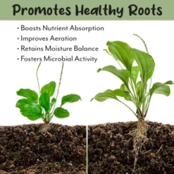 Soil Sunrise Terra-Preta Inspired Potting Soil, Biochar-Enriched Sustainable Mix For Indoor/Outdoor Plants -OUTSUNNY Sale Store GUEST 9e4d769f 90e4 4b44 b662 fe25f2c5cbaa