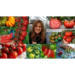 Espoma Organic Tomato! 1-3-1 Plant Food -OUTSUNNY Sale Store GUEST a289b76c ce63 41fa bd44 be3f3f5fd3f0