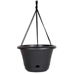 Bloem 13" Wide Lucca Self Watering Hanging Basket -OUTSUNNY Sale Store GUEST a364821a 5d7c 4b16 b36c e02c7e88ae70