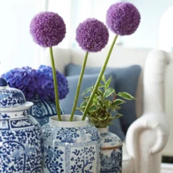 Van Zyverden Allium Purple Giganteum Flower Bulb