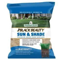 Jonathan Green Black Beauty Sun & Shade Mixed Partial Shade/Sun Grass Seed 7 Lb