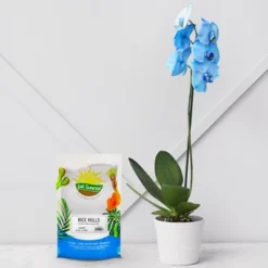 Soil Sunrise Horticultural Grade Rice Hulls; For House Plants And Chicken Bedding