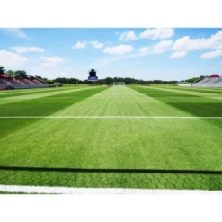 Barenbrug Turf Blue Healthy Grass Technology Lawn Seed Blend With Yellow Jacket Seed Coating, 10lb -OUTSUNNY Sale Store GUEST b2b5f584 dbf9 4f15 a8ef 2c1456c98275