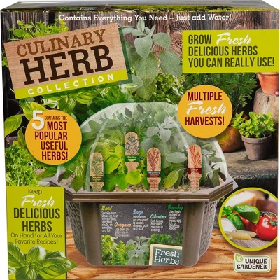 Unique Gardener: Culinary Herb Kit - Grow 5 Herbs In A DIY Biosphere Terrarium 7 Unique Gardener: Culinary Herb Kit - Grow 5 Herbs In A DIY Biosphere Terrarium - Image 7