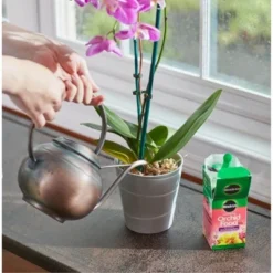 Miracle-Gro 30-10-10 Water Soluble Orchid Food, 8oz -OUTSUNNY Sale Store GUEST b5d6473c cdcd 44b2 af21 b479266bd54f