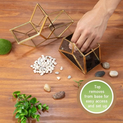 D'Eco Glass Star Terrarium- Tabletop Geometric Planter- Succulents, Moss & More- Home Garden Office Decor- Gift For Mother's Day (Terrarium Only) 2 D'Eco Glass Star Terrarium- Tabletop Geometric Planter- Succulents, Moss & More- Home Garden Office Decor- Gift For Mother's Day (Terrarium Only) - Image 2