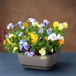 Novelty Majestic Garden Plastic Indoor/Outdoor Square Planter Pot, Taupe, 12in