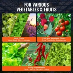 VEVOR DWC Hydroponics Grow System, Hydroponic Growing System With Top Drip Kit, Deep Water Culture 5-Gallon 2 Buckets, With Air Pump, Black -OUTSUNNY Sale Store GUEST c24661a2 db85 48af 89e9 2f95b96ce3bf