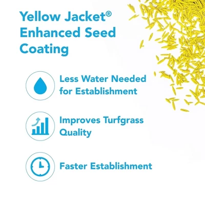 Barenbrug Turf Blue Healthy Grass Technology Lawn Seed Blend With Yellow Jacket Seed Coating, Heavy-Traffic HGT Grass Seed Mix For All Climates, 25lb 2 Barenbrug Turf Blue Healthy Grass Technology Lawn Seed Blend With Yellow Jacket Seed Coating, Heavy-Traffic HGT Grass Seed Mix For All Climates, 25lb - Image 2