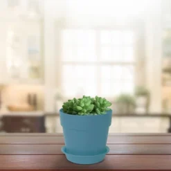 Unique Bargains Plastic Home Garden Gardening Round Design Plant Flower Holder Planter Pot Tray 7 Unique Bargains Plastic Home Garden Gardening Round Design Plant Flower Holder Planter Pot Tray -OUTSUNNY Sale Store GUEST ce5ca7af c917 4e28 aa33 dec71bd58f4e