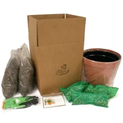 Van Zyverden 46ct Bulbs Multicolored Unison Spring Blooming Patio Planter Set -OUTSUNNY Sale Store GUEST d254073f 3f70 4727 bead b60bbbdbc96b