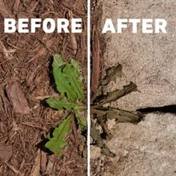 Spruce Weed And Grass Killer Powered Starter Kit 64oz -OUTSUNNY Sale Store GUEST d2e1ad91 bd8a 47b1 b809 c4c7a85fd524