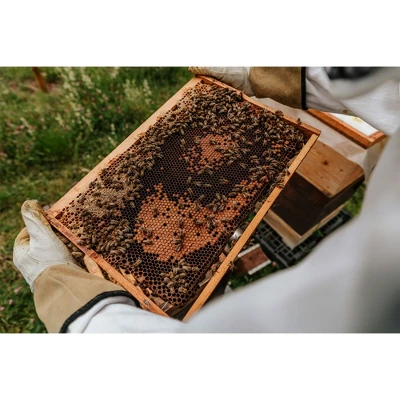 Harvest Lane Honey Beekeeping Jacket, Protective Beekeeper Clothing With 4 Pockets And Fencing Veil Bug Net Hat, Unisex Sizing, Large 3 Harvest Lane Honey Beekeeping Jacket, Protective Beekeeper Clothing With 4 Pockets And Fencing Veil Bug Net Hat, Unisex Sizing, Large - Image 3