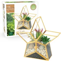 D'Eco Glass Star Terrarium- Tabletop Geometric Planter- Succulents, Moss & More- Home Garden Office Decor- Gift For Mother's Day (Terrarium Only) 5 D'Eco Glass Star Terrarium- Tabletop Geometric Planter- Succulents, Moss & More- Home Garden Office Decor- Gift For Mother's Day (Terrarium Only) -OUTSUNNY Sale Store GUEST e4ee1efa 2265 4a2a 901b ef5a6243b971