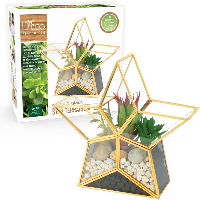 D'Eco Glass Star Terrarium- Tabletop Geometric Planter- Succulents, Moss & More- Home Garden Office Decor- Gift For Mother's Day (Terrarium Only) 3 D'Eco Glass Star Terrarium- Tabletop Geometric Planter- Succulents, Moss & More- Home Garden Office Decor- Gift For Mother's Day (Terrarium Only) - Image 3