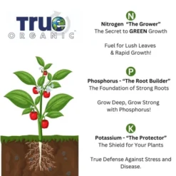 True Organic 7-7-0 Bone Meal, OMRI Listed, Spring & Fall Application, 3lb (Covers Up To 61 Sq Ft) -OUTSUNNY Sale Store GUEST e5b4c6fc a7a1 4c32 9877 a58f4475ee31