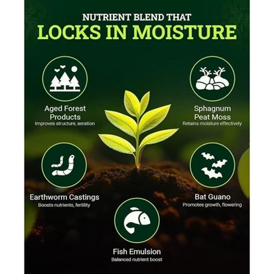 FoxFarm Ocean Forest 12 Qt. Potting Soil 1 FoxFarm Ocean Forest 12 Qt. Potting Soil