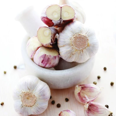 Van Zyverden 3ct Cloves Garlic Softneck Silverskin Silver Rose 3 Van Zyverden 3ct Cloves Garlic Softneck Silverskin Silver Rose - Image 3