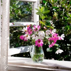 Back To The Roots 5pk Organic USA Flower Seeds 11 Back To The Roots 5pk Organic USA Flower Seeds -OUTSUNNY Sale Store GUEST f4347ac0 4180 4cf1 b5e5 4b29a72da013