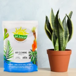 Soil Sunrise Air Cleaning Plant Potting Mix For Pothos, Parlor Palm, Peace Lily