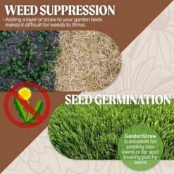 HealthiStraw GardenStraw All-Natural, Clean, Sustainable Garden Straw Mulch For Gardens And Grass Seeding -OUTSUNNY Sale Store GUEST f8b7480a 7bd1 4fca 9638 1f0c6ec0cfc8