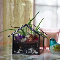 D'Eco Glass Geometric Plant Terrarium 3Pk - Hanging Triangle, House & Prism Planters - Home, Garden & Office Botanical Decor - Gift For Plant Lovers -OUTSUNNY Sale Store GUEST fd27ccba 428a 46f7 a0e5 72f71fefe029